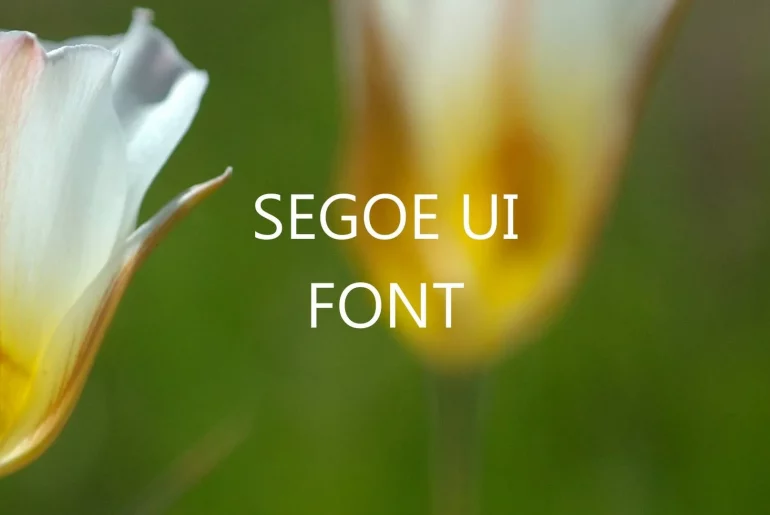 Segoe UI Font